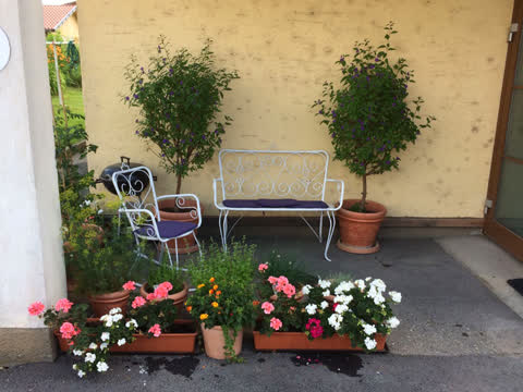 Eingangsbereich der Praxis mit Bank, Pflanzen und Blumenkisten